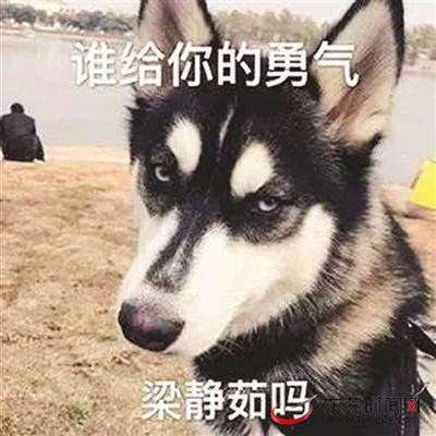 梁静茹给你的勇气？